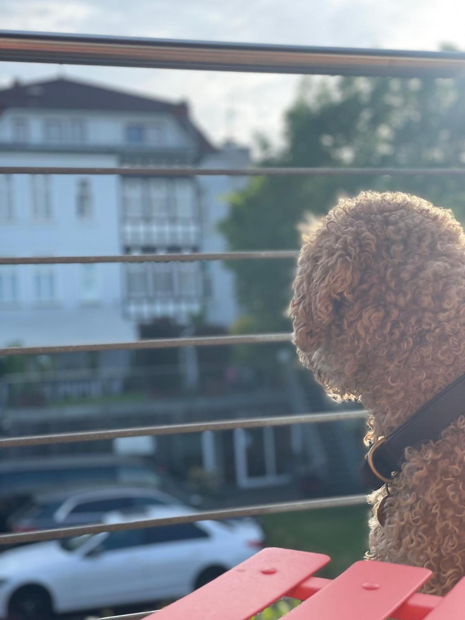 Sonniges Hinterhaus Og Innenstadt Osnabrueck Luaran gambar